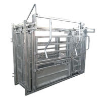 Galvanized cattle crush for weighing and checking