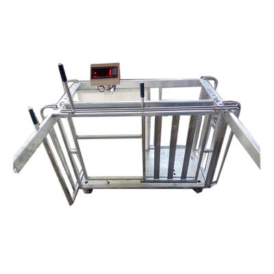 Galvanized sheep weighing scale crush with displayer