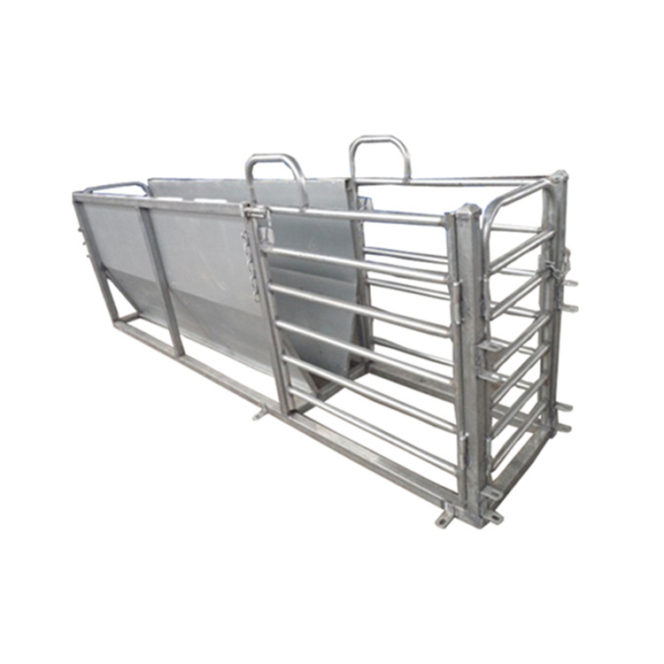 Galvanized sheep V race module with 3 exit