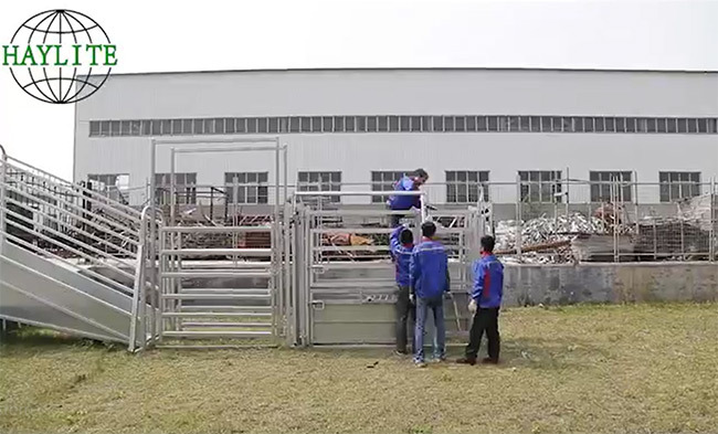 cattle handling systems for cattle working equipment