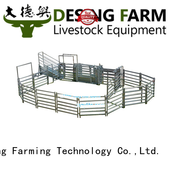 Desing wholesale cattle head chute best factory price