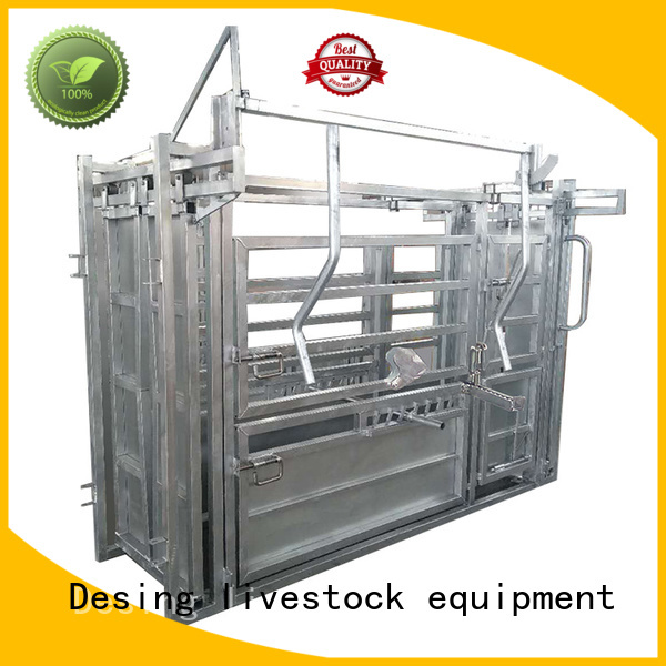Desing professional cattle working chute cost-effective