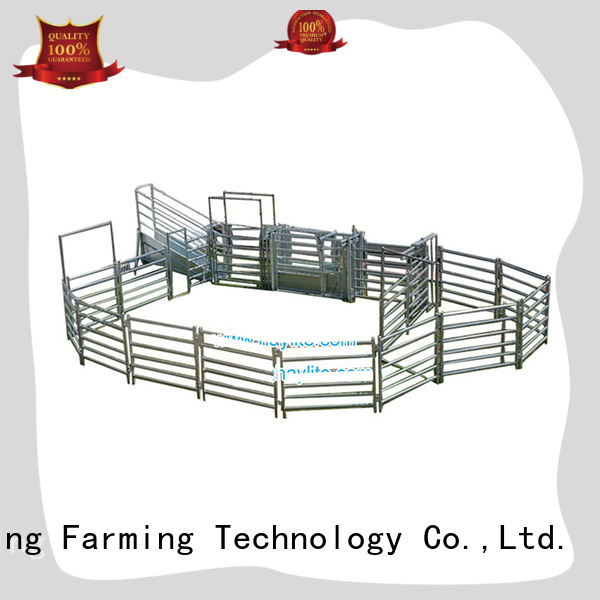 Desing cattle crush high-performance best factory price
