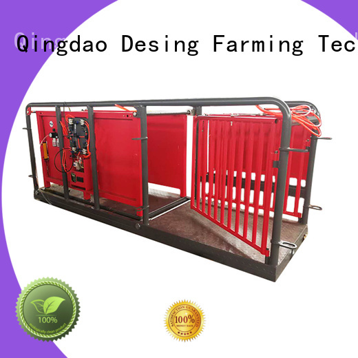 Desing sheep handling system factory direct supply favorable price