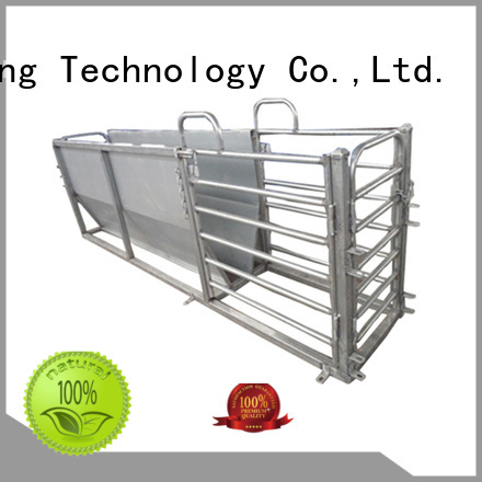 Desing best livestock scales hot-sale favorable price