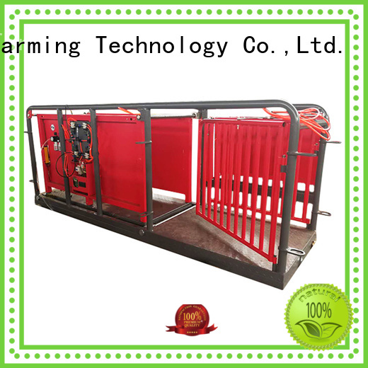 Desing best workmanship sheep equipment factory direct supply favorable price