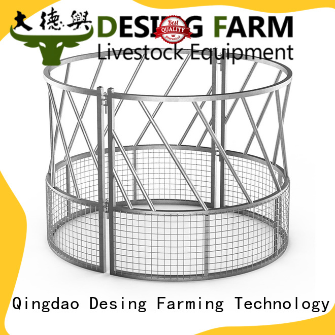 Desing cattle working chute high-performance for farm