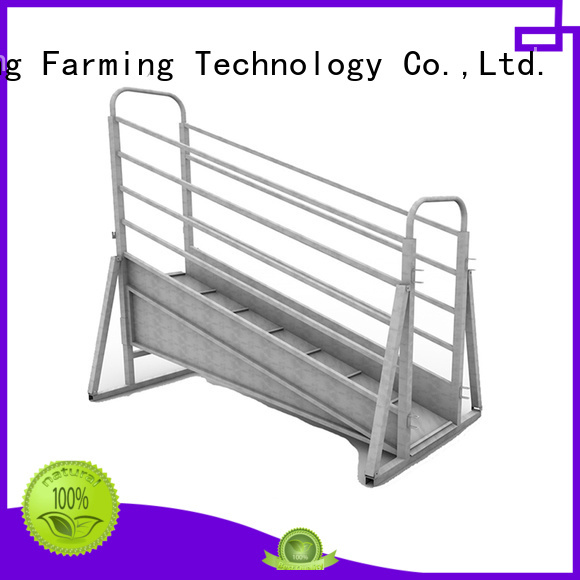 Desing cattle working chute