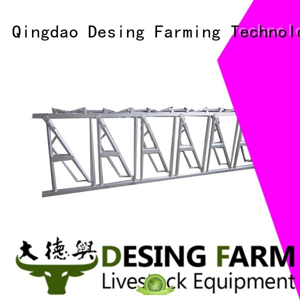 popular cow cubicle livestock handling fast delivery