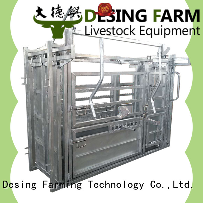 Desing cattle ramp cost-effective for farm