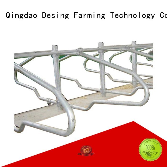Desing cow milking machine industrial fast delivery