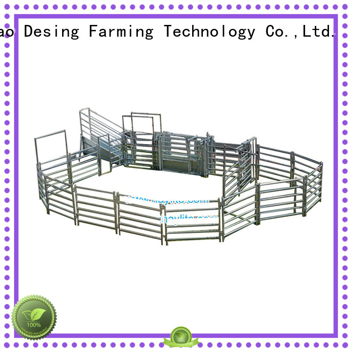 professional cattle head chute high-performance for livestock
