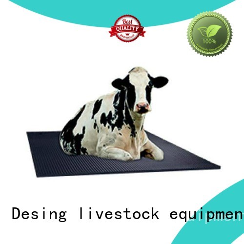 Desing livestock water trough livestock handling fast delivery