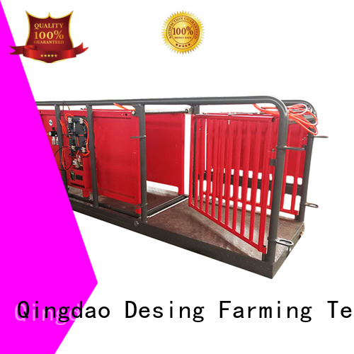 Desing well-designed sheep handling system factory direct supply favorable price