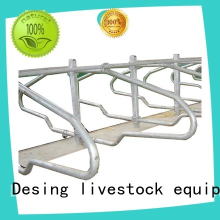 Desing livestock water trough industrial for wholesale