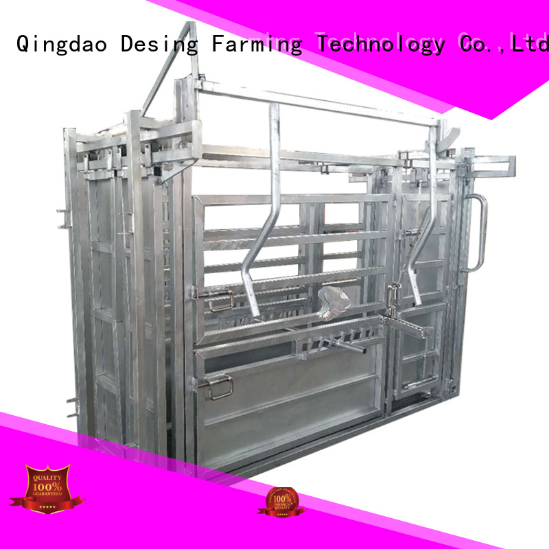Desing cattle working chute for farm