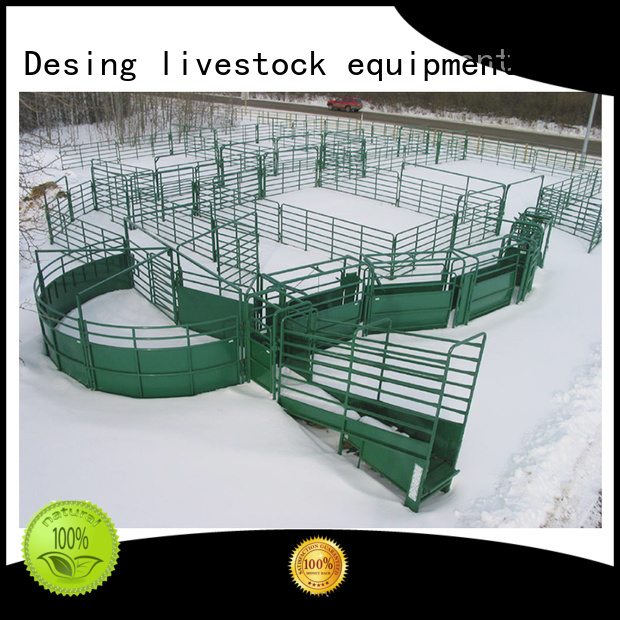 Desing best workmanship best livestock scales adjustable for wholesale
