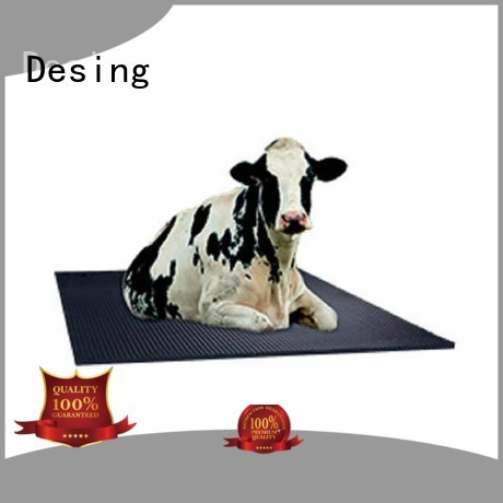 Desing cow milking machine livestock handling