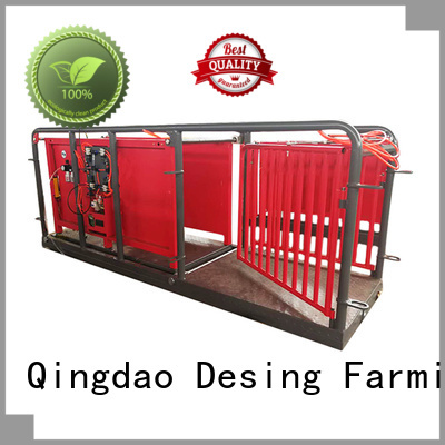 Desing sheep handling system factory direct supply high quality