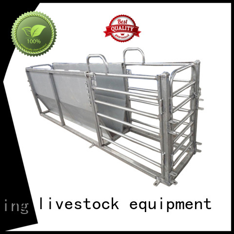 Desing best workmanship livestock scales hot-sale favorable price