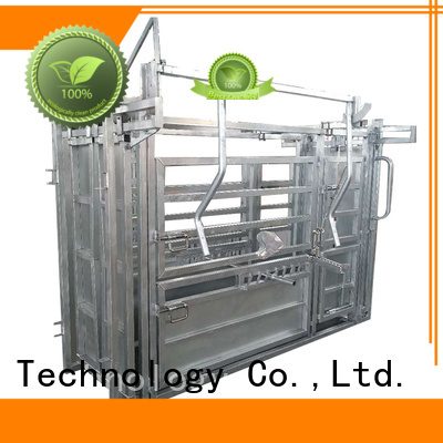 professional cattle working chute cost-effective for farm
