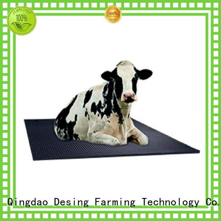 Desing popular cow milking machine fast delivery