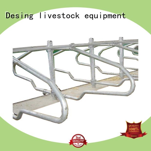 Desing free stall livestock handling fast delivery