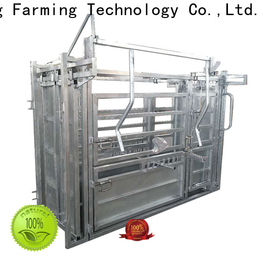 wholesale cattle head chute cost-effective best factory price
