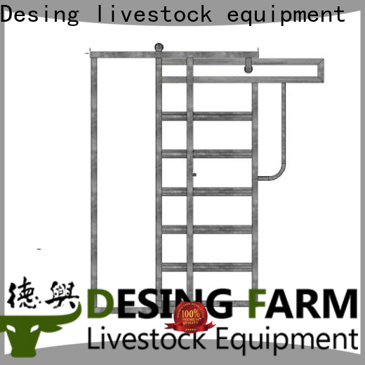 Desing cattle head chute cost-effective