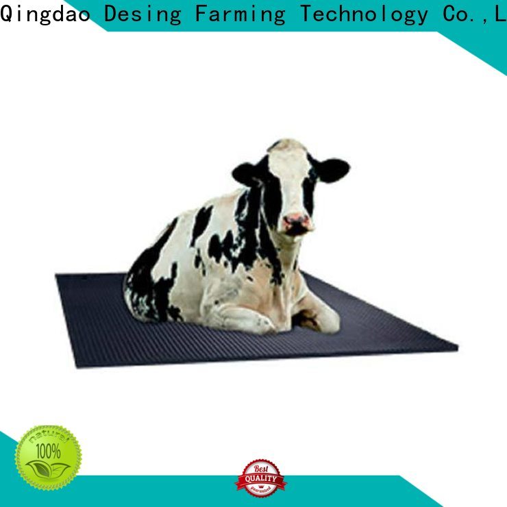 high quality cow brush livestock handling fast delivery