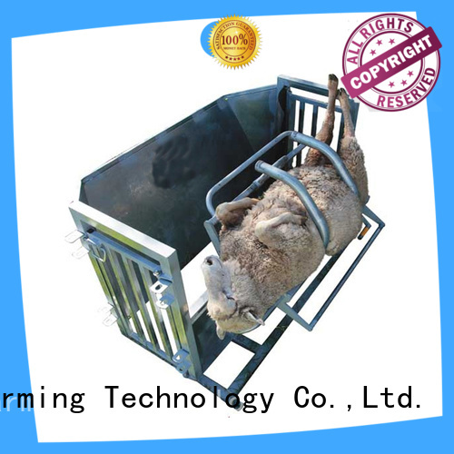 Desing sheep loading ramp adjustable high quality