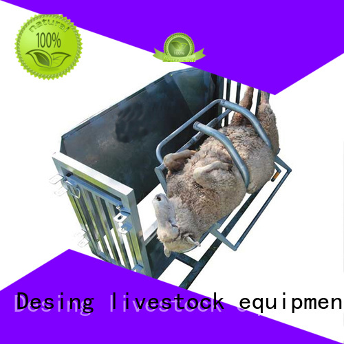 custom sheep loading ramp adjustable favorable price